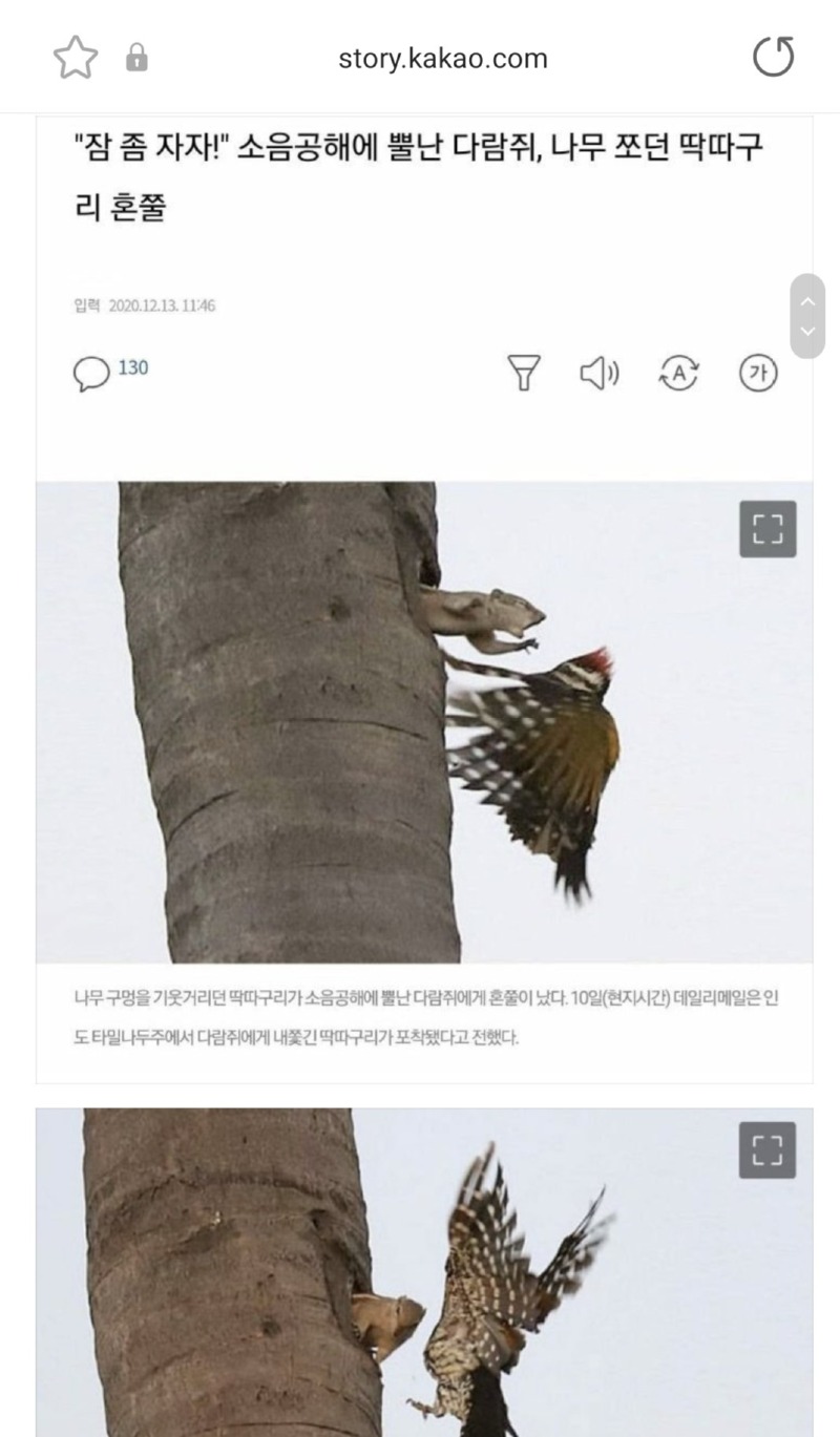 층간소음
