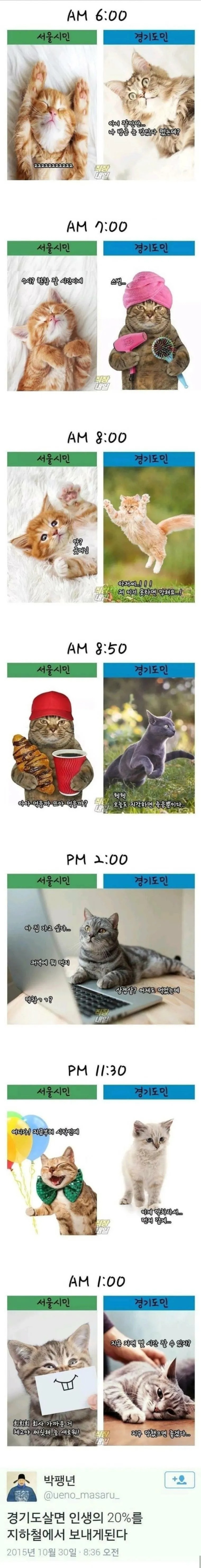 서울시민과 경기도시민