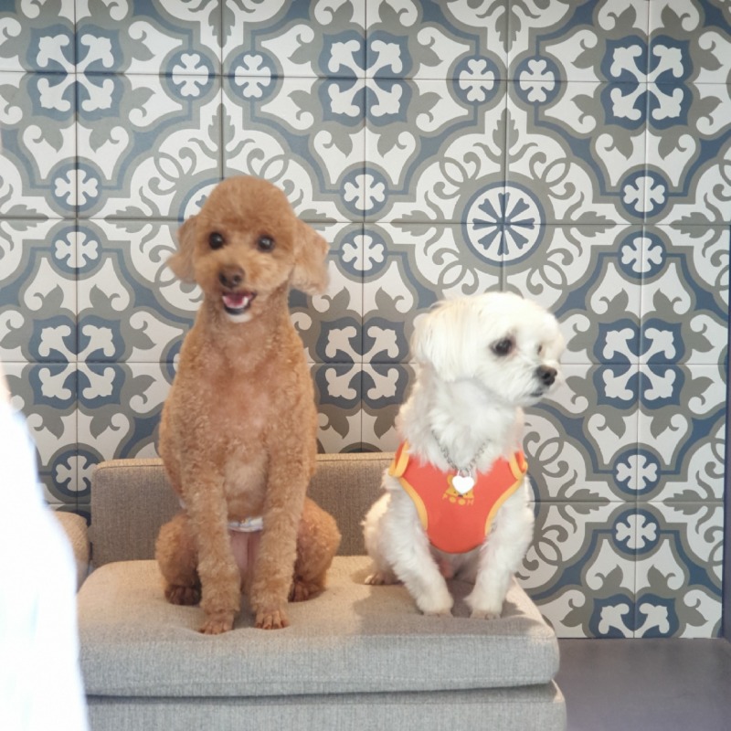 경산 도기온 이용 후기!