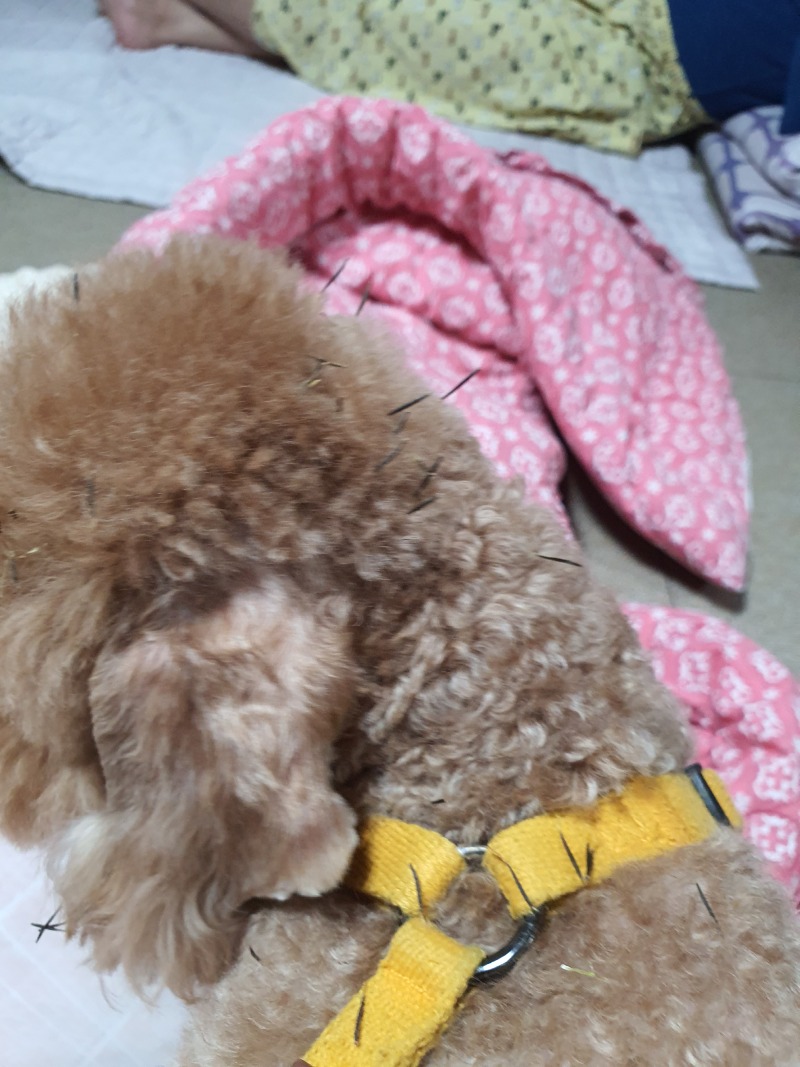 화진별장 펜션