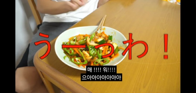 한글을 몰랐던 일본인 유투버의 최후