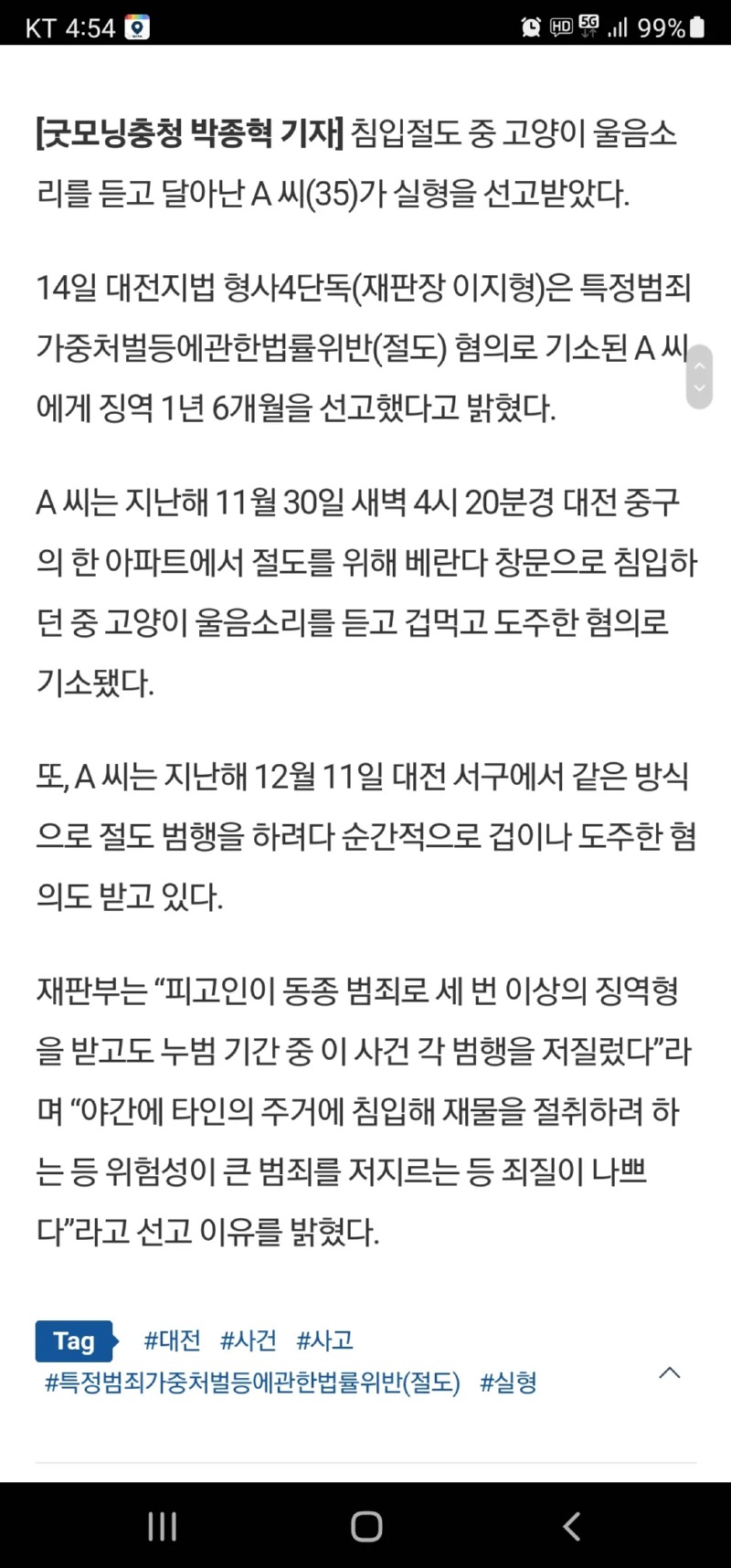겁이 너무 많은 도둑