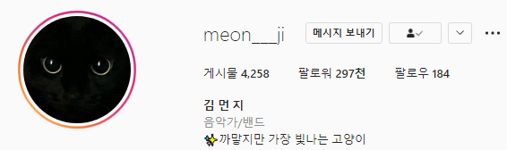 검은 고양이의 정석, 냥스타그램 김먼지 