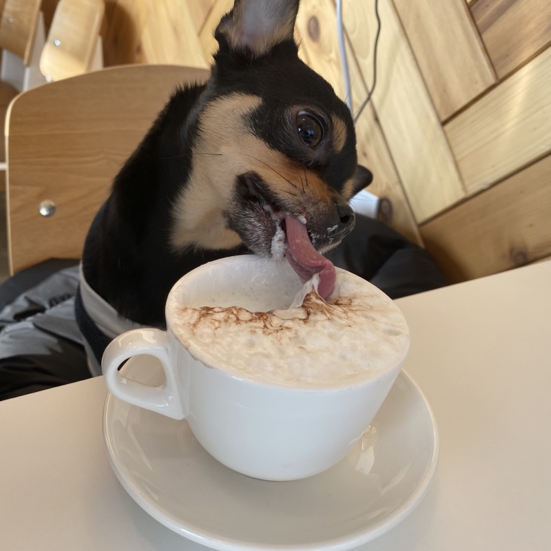카페몽블