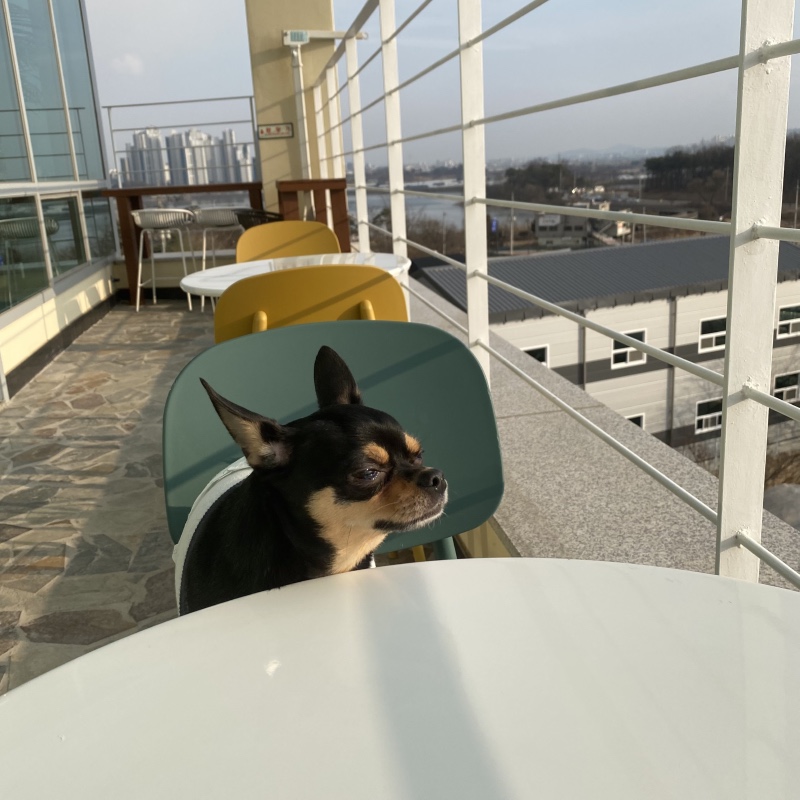 카페몽블
