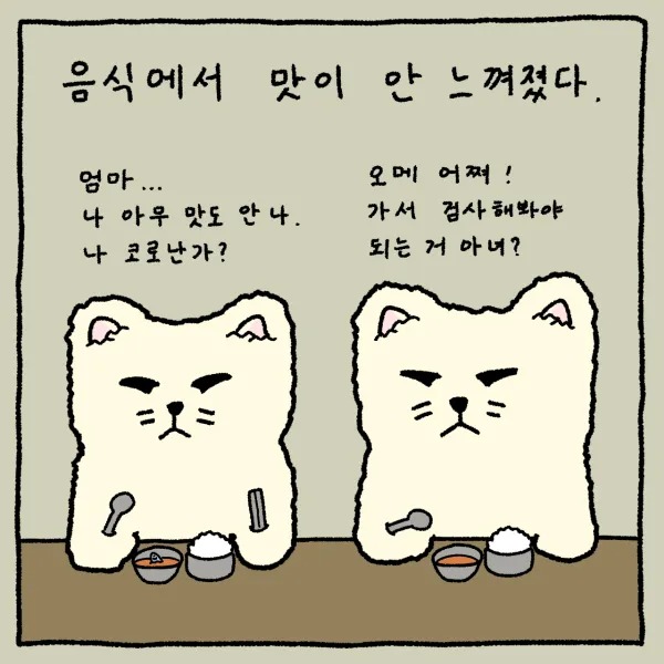 밥을 먹는데 맛이 안느껴진다....??