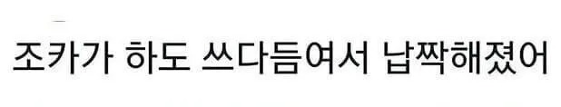 댕댕이를 이뻐한 흔적