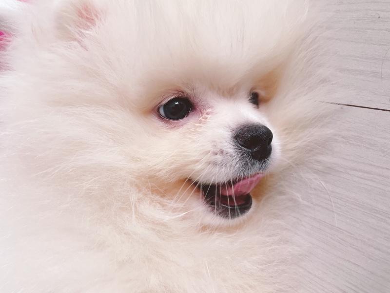 B32DECCC-3517-4198-A2F4-4211F3144228.jpeg