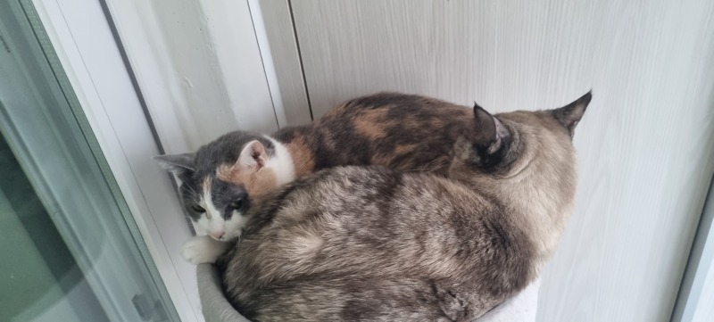 둘이 친한척하네요.ㅋㅋ