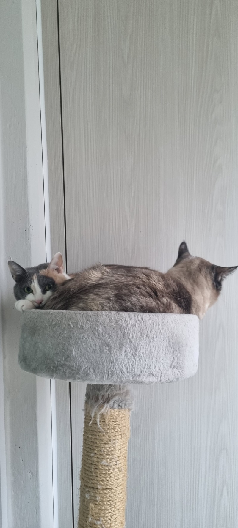 둘이 친한척하네요.ㅋㅋ