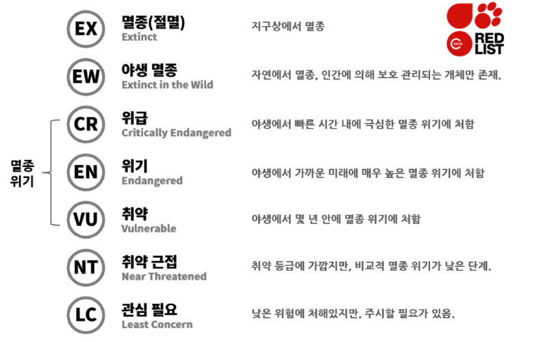 멸종위기종의 등급 - 세계의 기준과 한국