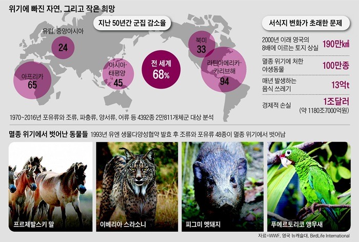 멸종위기종의 등급 - 세계의 기준과 한국