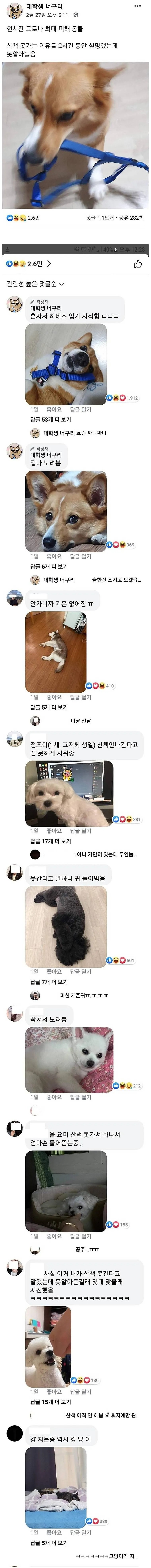 코로나 최대 피해자