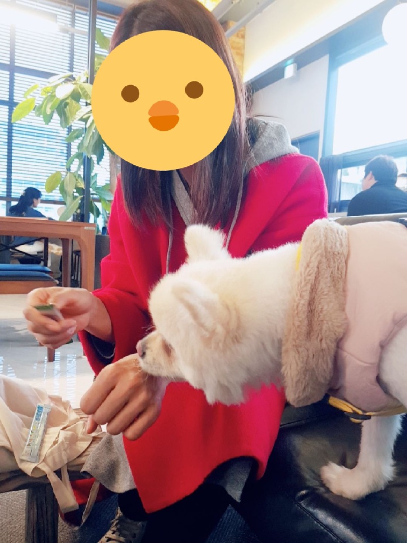 야외정원 있는 김포 애견동반 카페 <빈슈에뜨>
