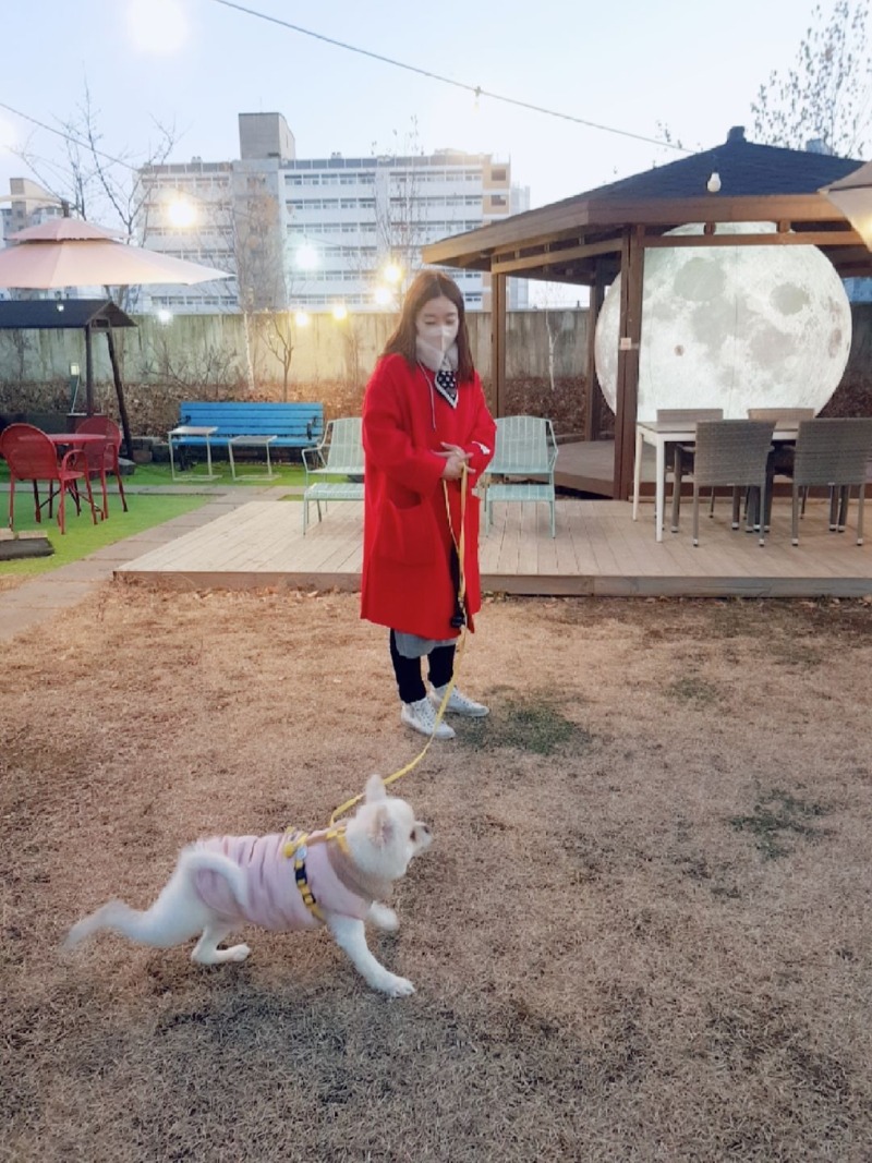 야외정원 있는 김포 애견동반 카페 <빈슈에뜨>