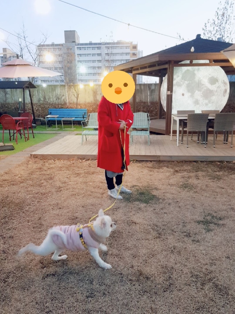 야외정원 있는 김포 애견동반 카페 <빈슈에뜨>