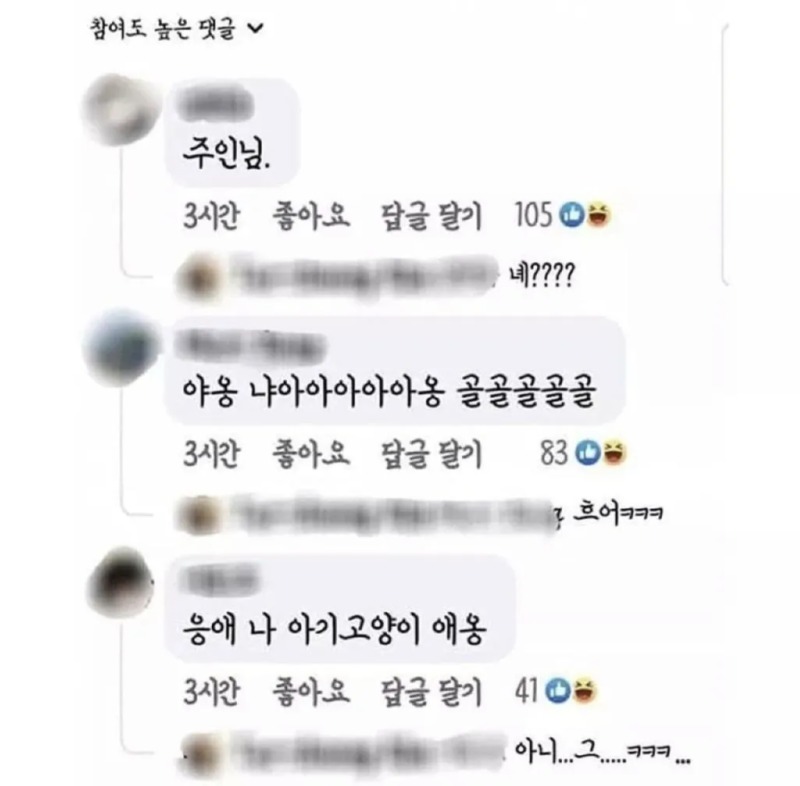 고양이한테 회 먹여도 되나요???