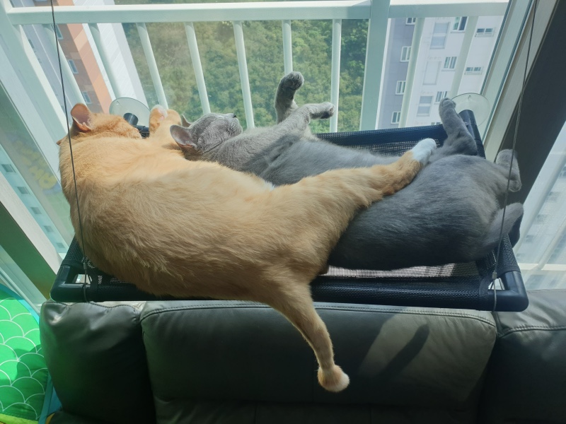 63649E1B-D61D-48F0-ABF6-278F20C3C854.jpeg