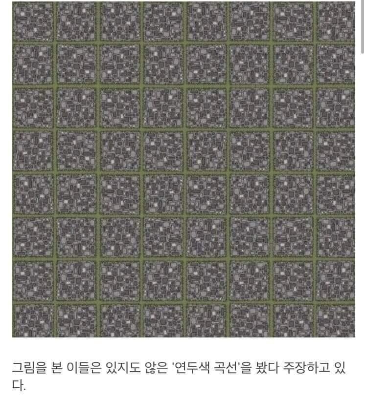 착시 그림