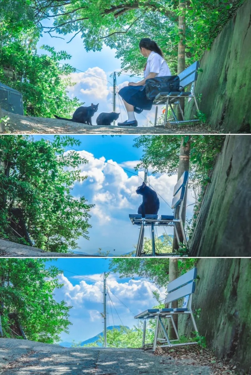 힐링하고 가세요!!! 
