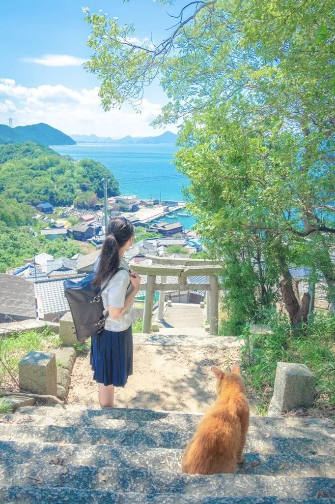 힐링하고 가세요!!! 