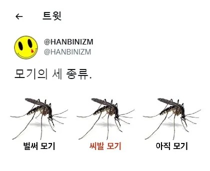 이제 곧 집안으로 들어와 우릴 유린할 놈들