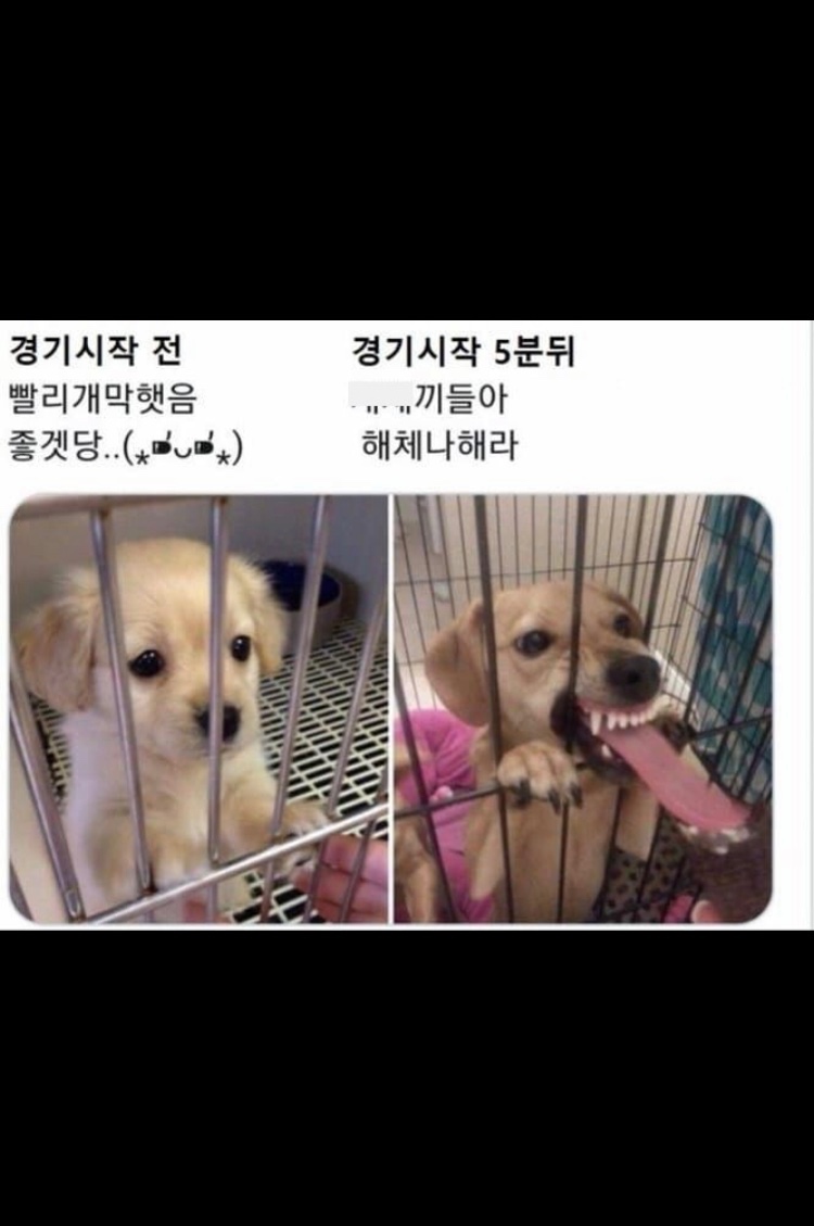 야구의 위험성