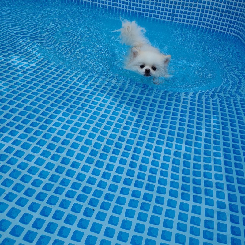 화성 봉담 카페 아루스