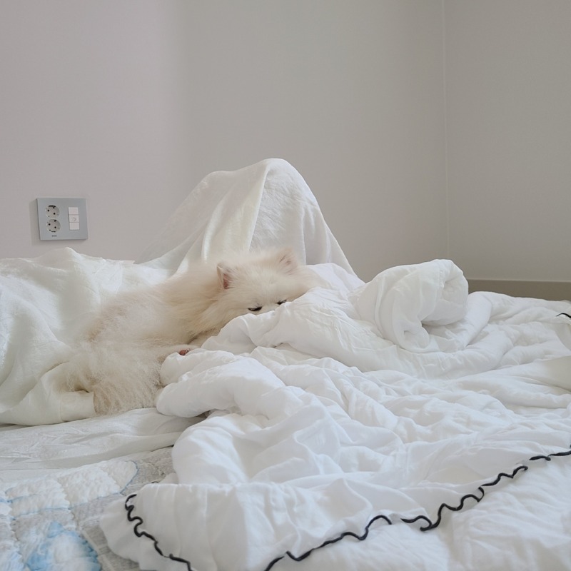 자거나, 먹거나, 먹는거 달라고 조르다 자거나^^;;; 