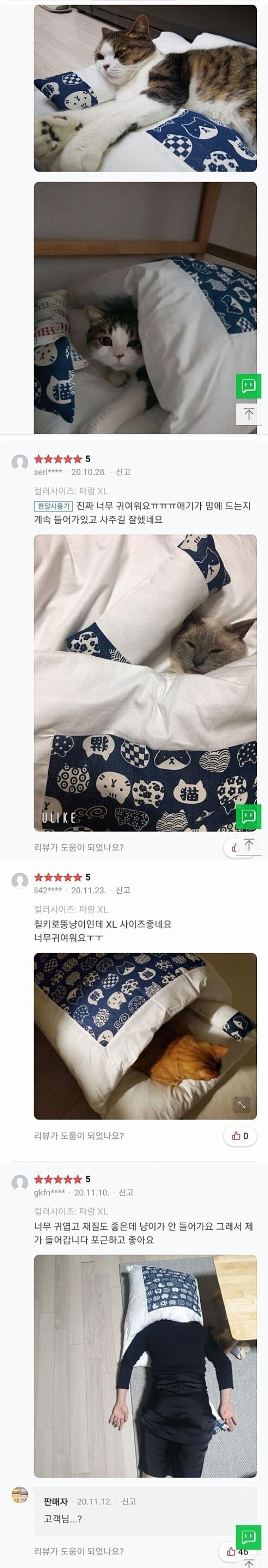고양이 이불 후기 