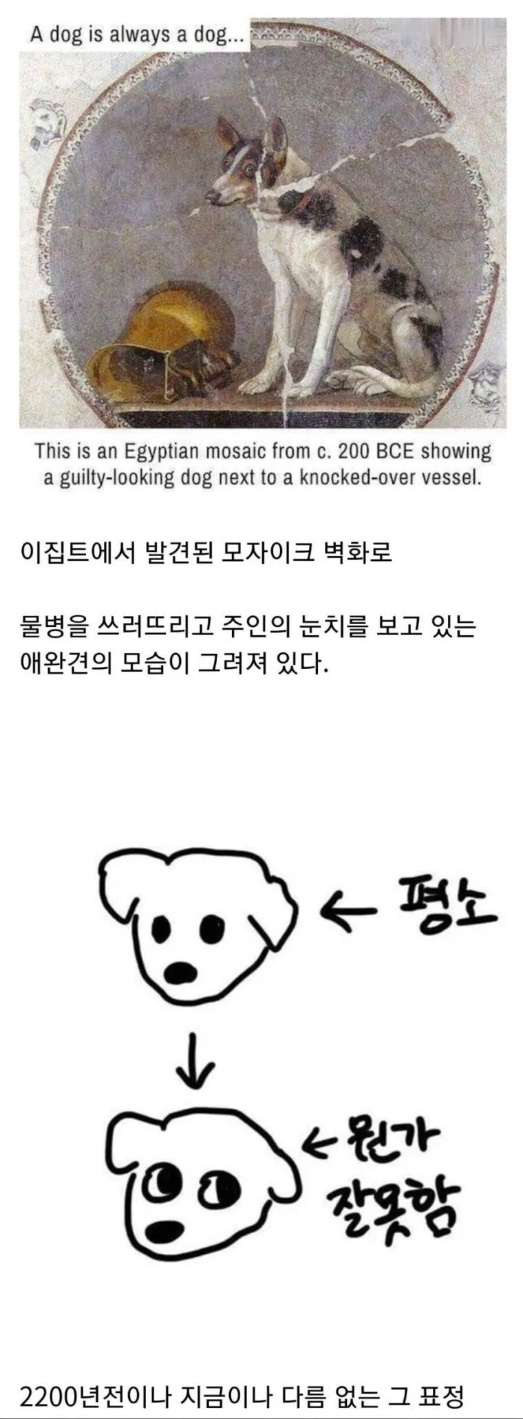기원전 부터 뼈 속 깊이 새겨진 DNA