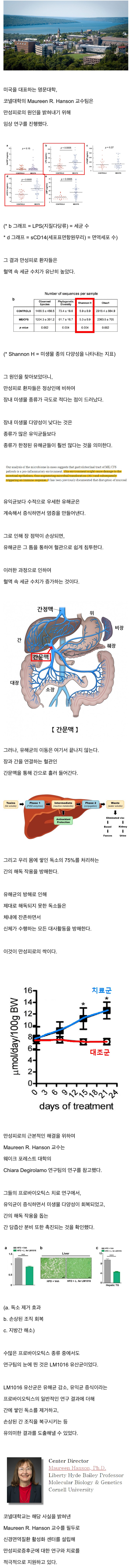 만성 피로의 원인 