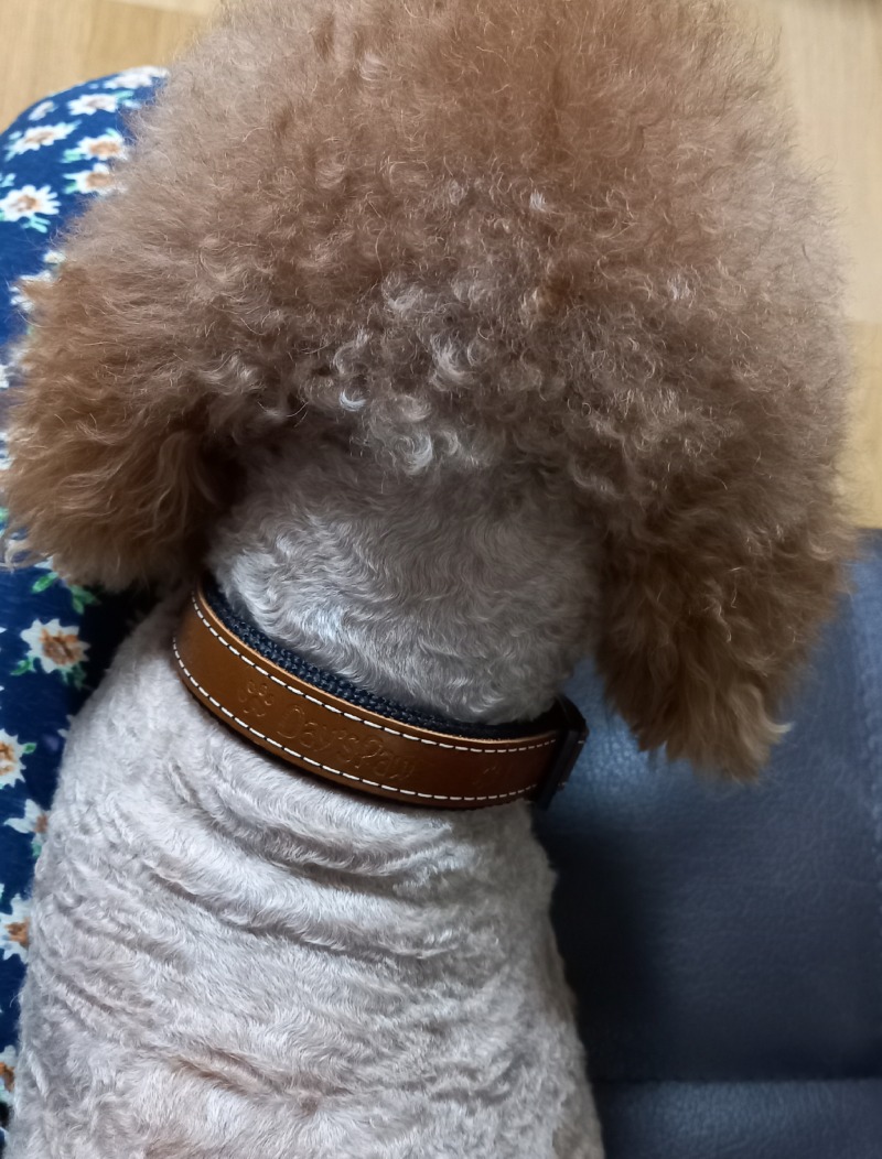 20201013_121628.jpg