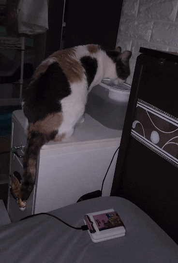 20220310＿190418＿1.gif