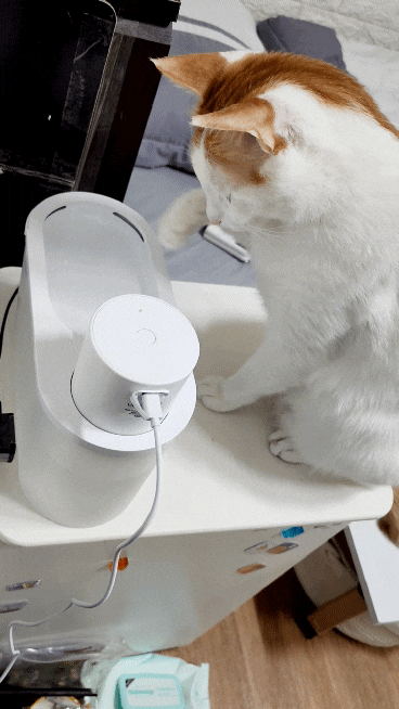 20220310＿184637＿2.gif