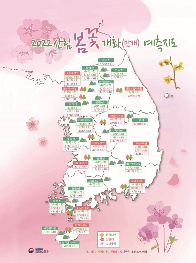 2022년 봄꽃 개화시기라네요