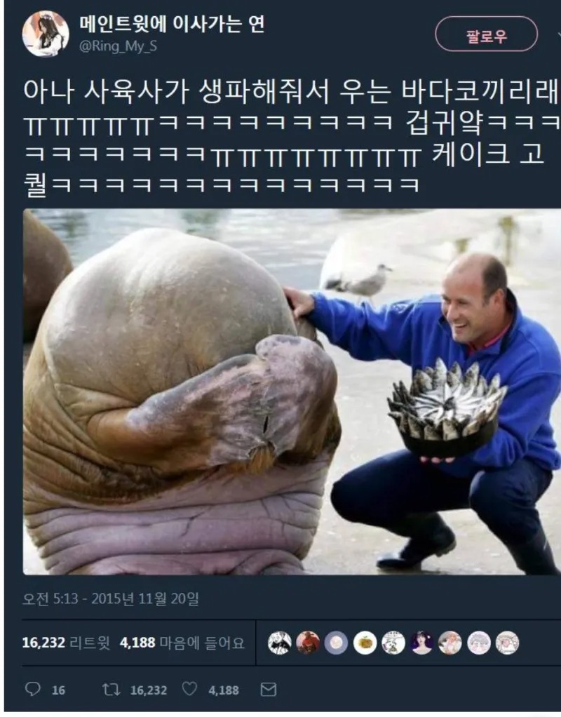 생일 축하를 처음 받아 본 동물