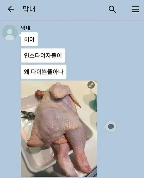인스타 사진이 예쁜 이유