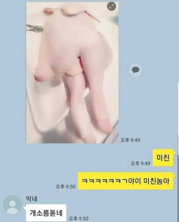 인스타 사진이 예쁜 이유