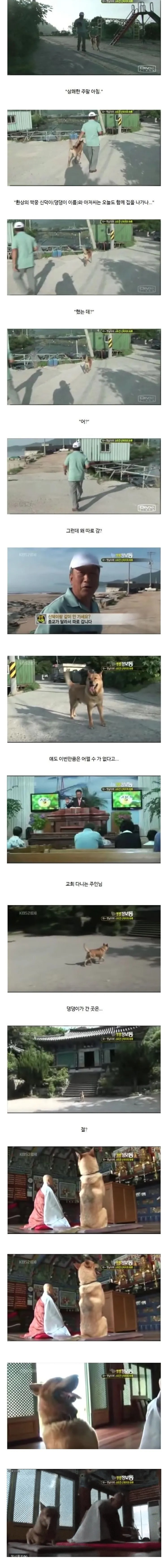 주인과 종교가 다른 댕댕이