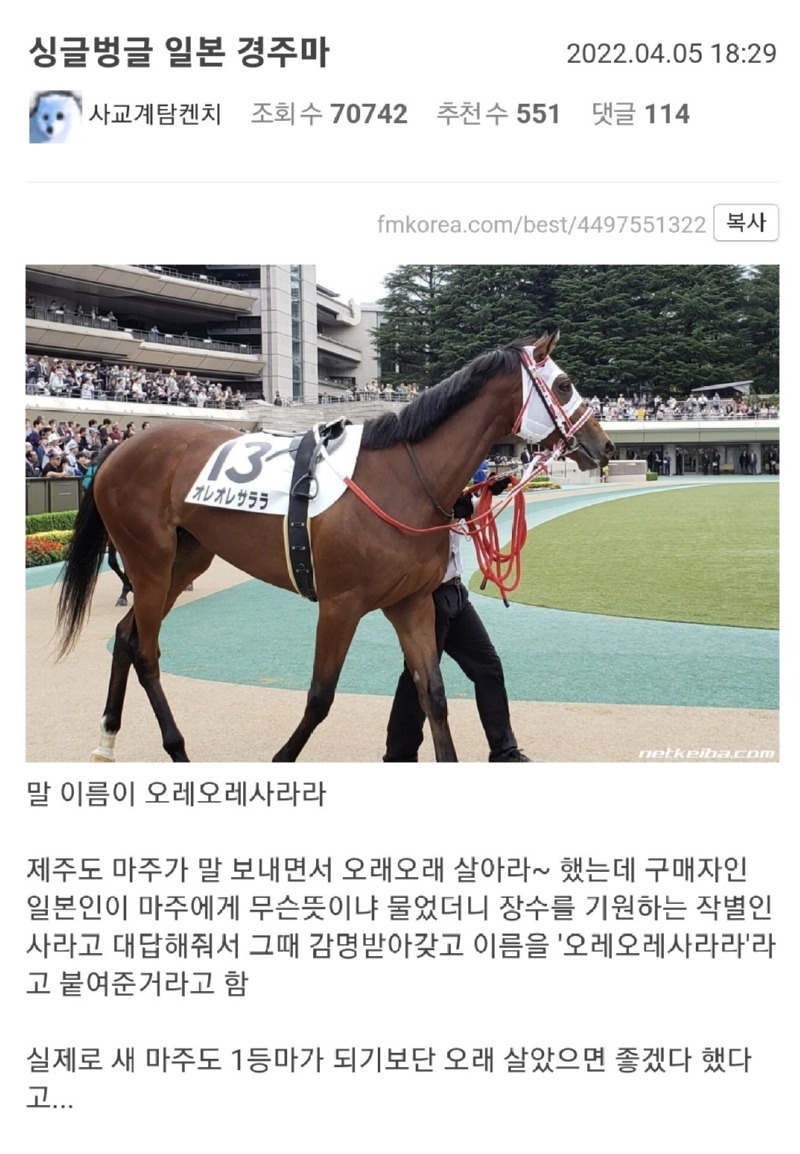 일본 경주마의 이름 ㅋㅋㅋㅋㅋㅋㅋ 