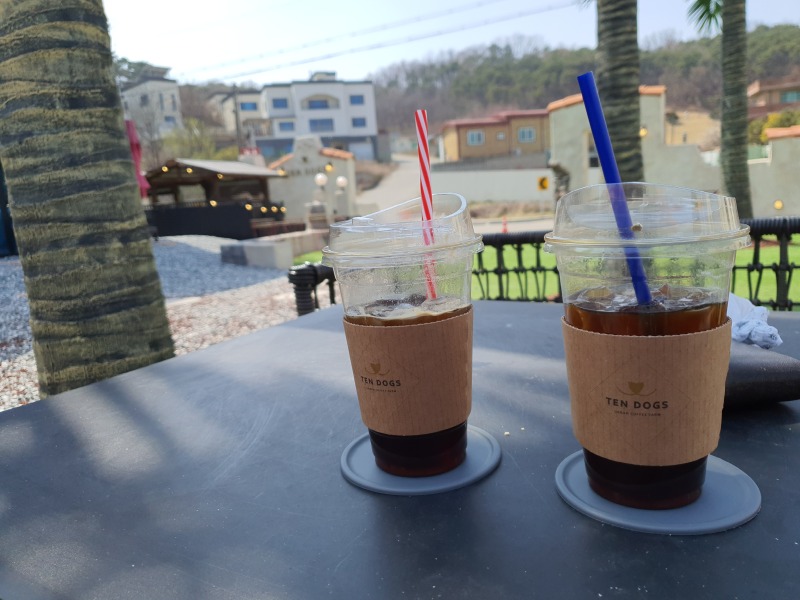 텐독스 애견동반 가능한 카페