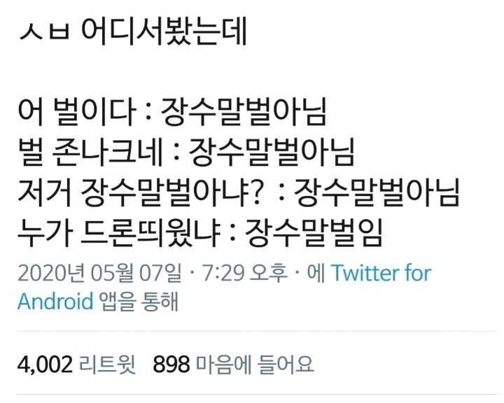 대형급 곤충 크기비교 (곤충사진!!)