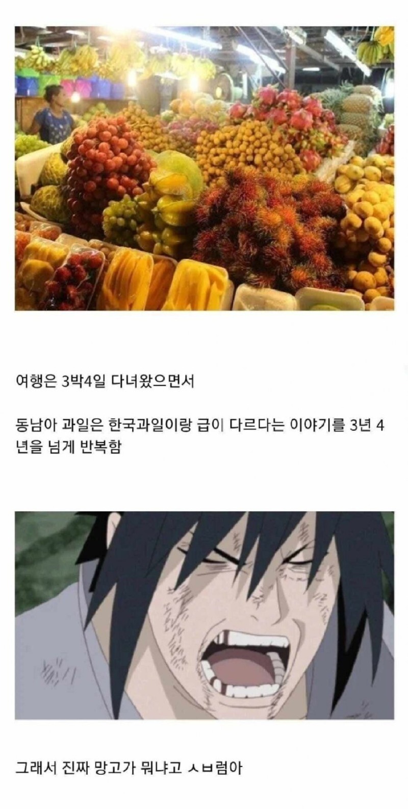 동남아 여행 다녀온 사람들 특징