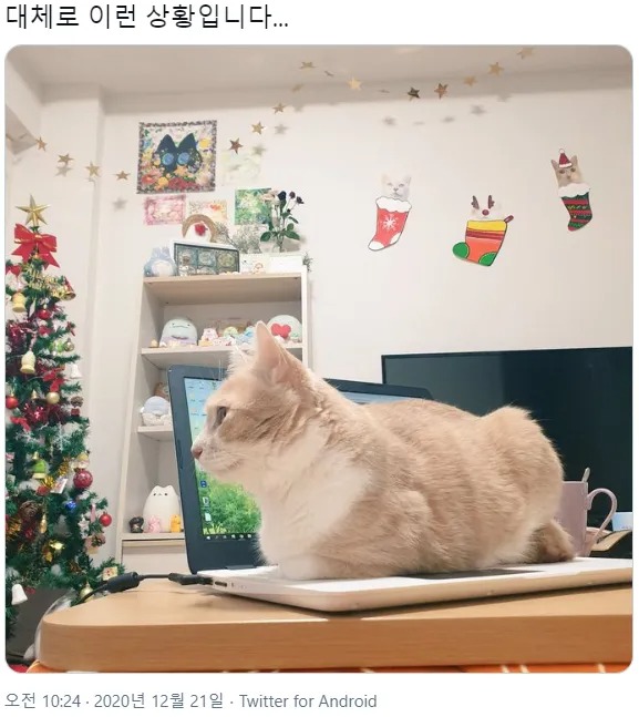 뜻밖의 카톡