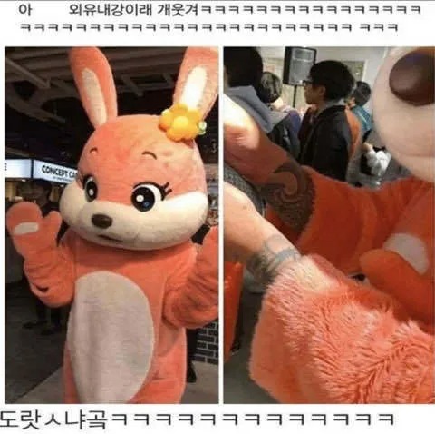 외유내강.jpg