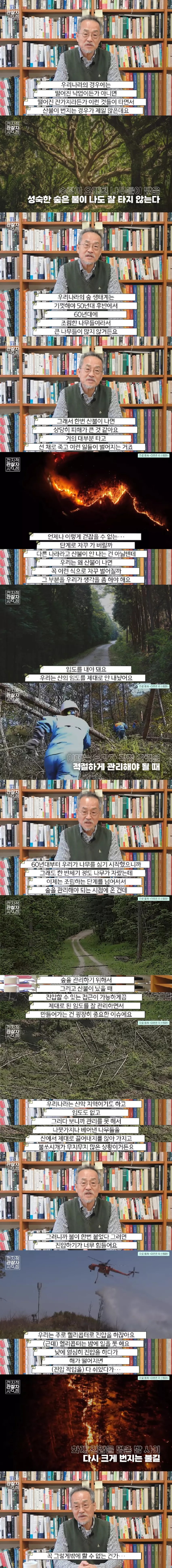 한국에서 계속 산불이 나는 이유 