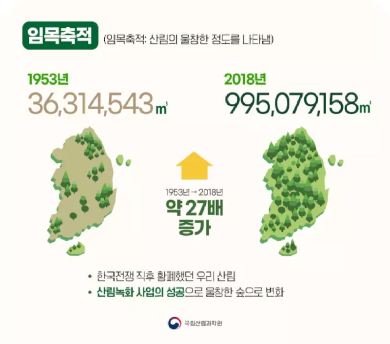 한국에서 계속 산불이 나는 이유 