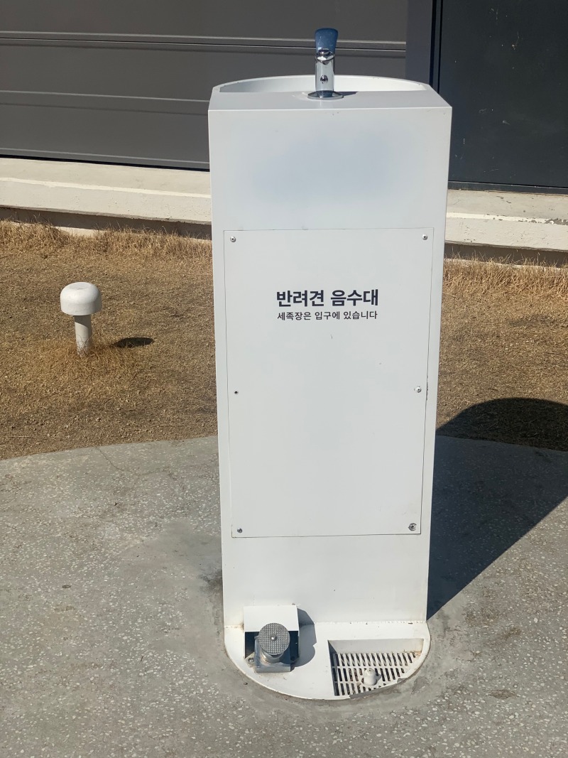 다현아! 다산 현대프리미엄 아울렛 스페이스원 흰디하우스 반려견운동장 애견 