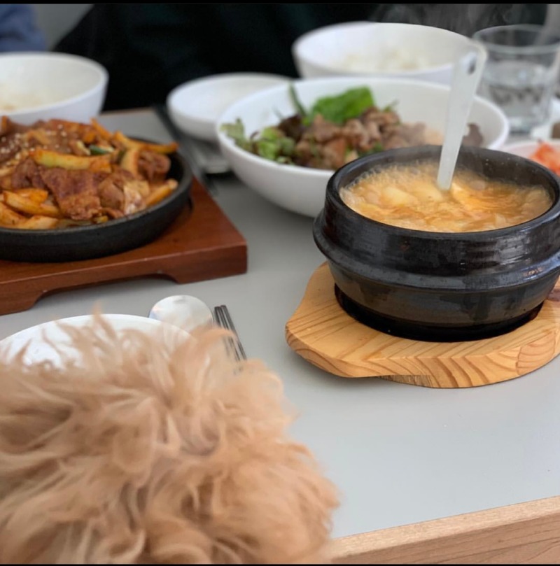 ﻿강아지와 함께하는 한식집 아이노테이블